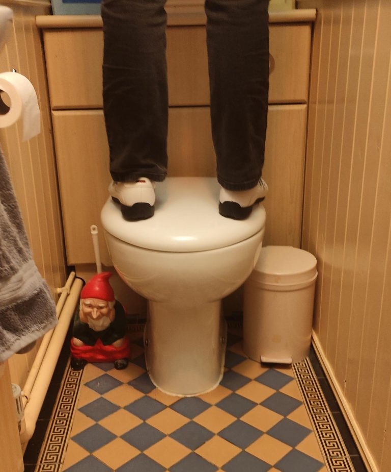 Feet and lower legs shown standing on a toilet seat